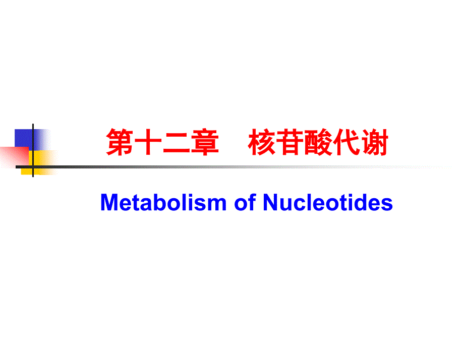 核苷酸代谢经典知识讲座_第1页