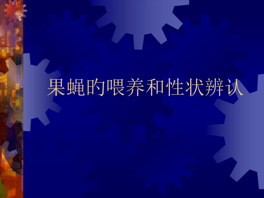 果蝇的饲养和性状识别_第1页