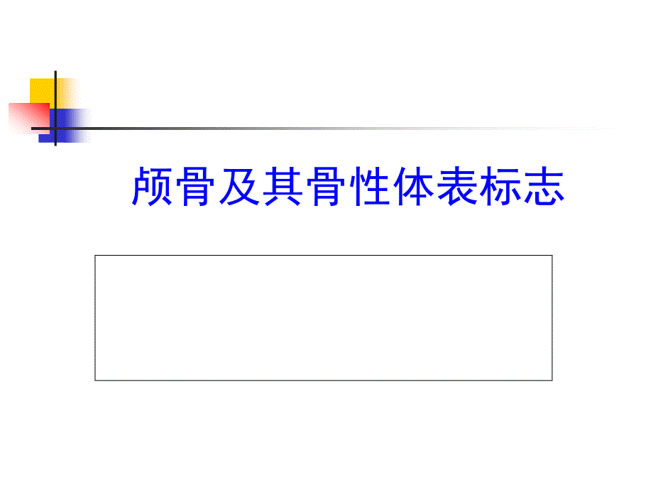 颅骨及其骨性体表标志_第1页