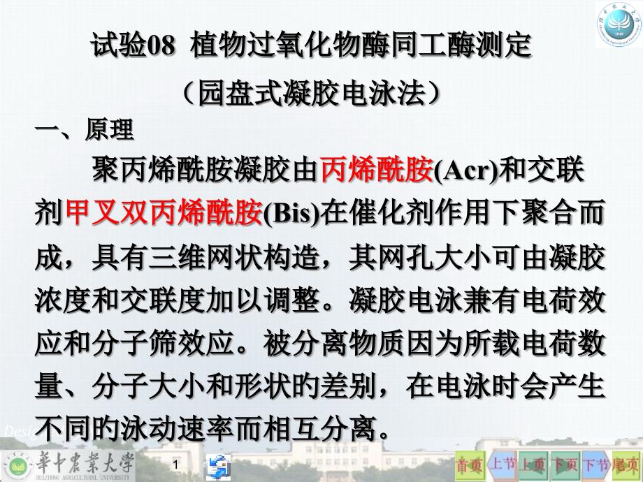 植物过氧化物酶同工酶测定ct专家讲座_第1页