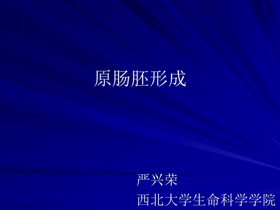 原肠胚形成专业知识专家讲座_第1页