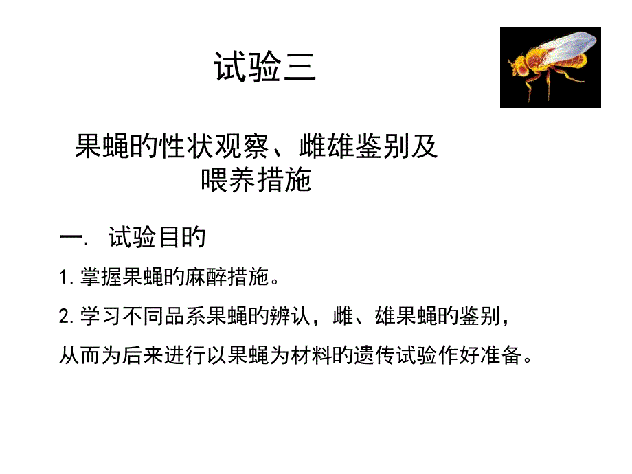 实验三果蝇的性状观察雌雄鉴别和饲养方法专家讲座_第1页