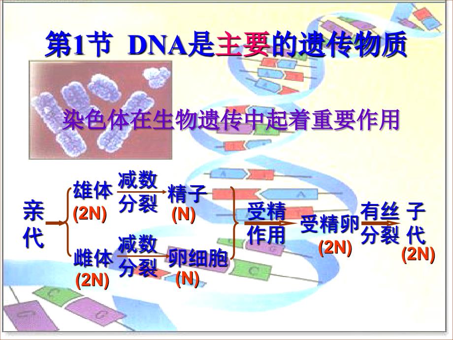 第三章第一节ＤＮＡ是主要的遗传物质_第1页