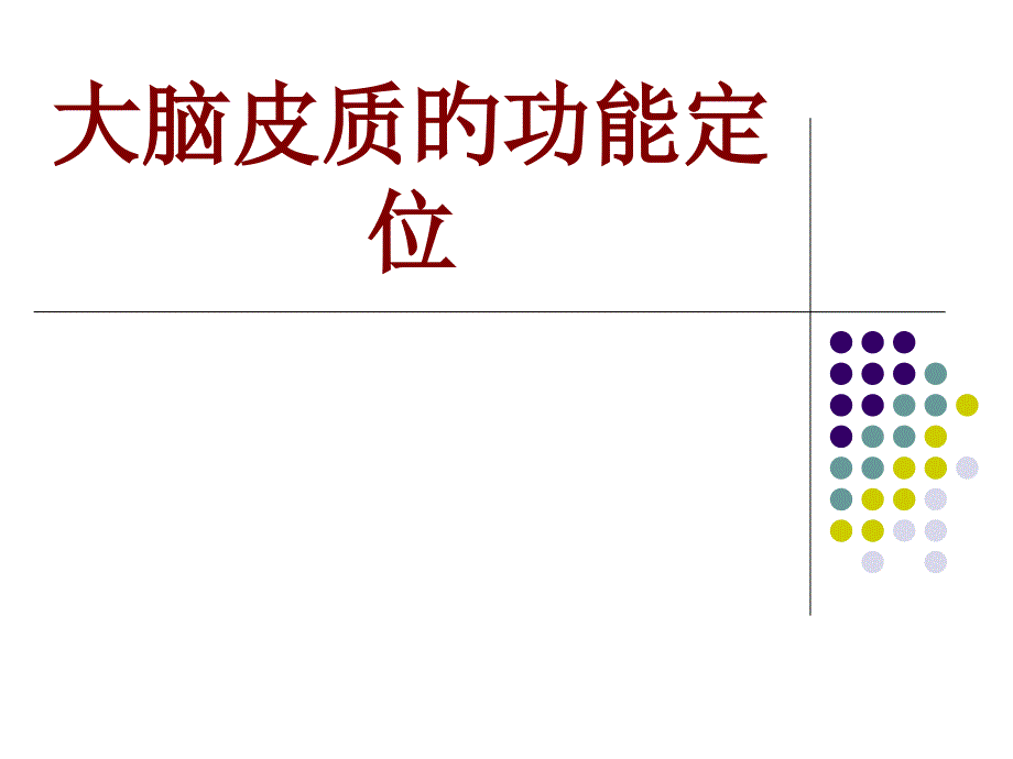 大脑皮质的功能定位_第1页