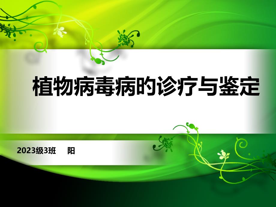 植物病毒病的诊疗和鉴定专家讲座_第1页