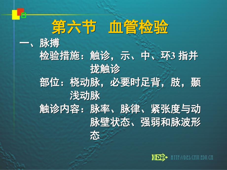 血管检查专业知识讲座_第1页