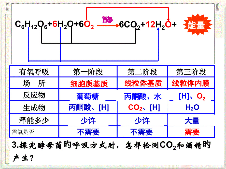 新编atp的主要来源细胞呼吸_第1页