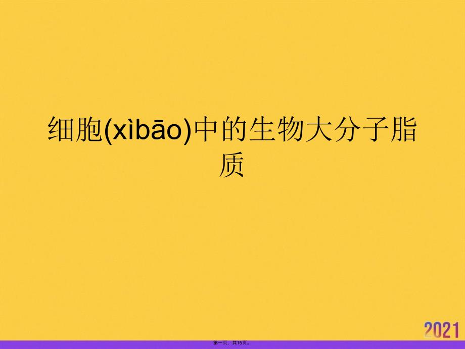 细胞中的生物大分子脂质优选ppt资料_第1页