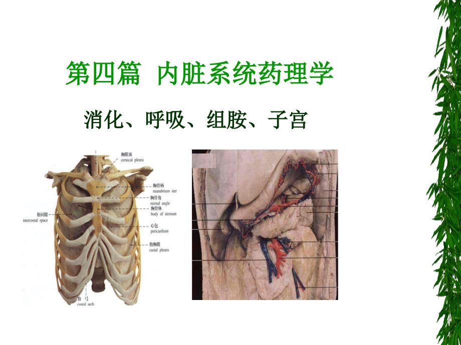 内脏系统药理_第1页