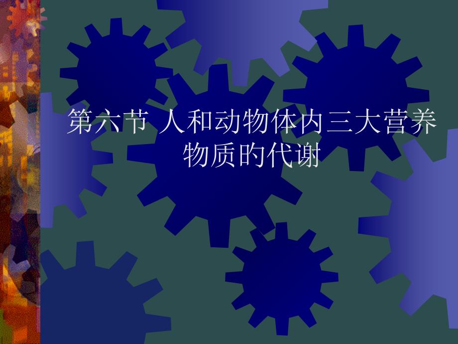 人和动物体内三大营养物质的代谢专业知识专家讲座_第1页