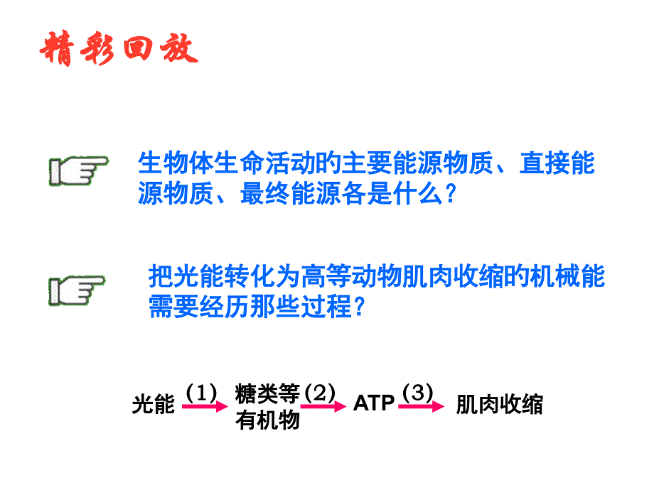 ATP的主要来源细胞呼吸专业知识讲座_第1页