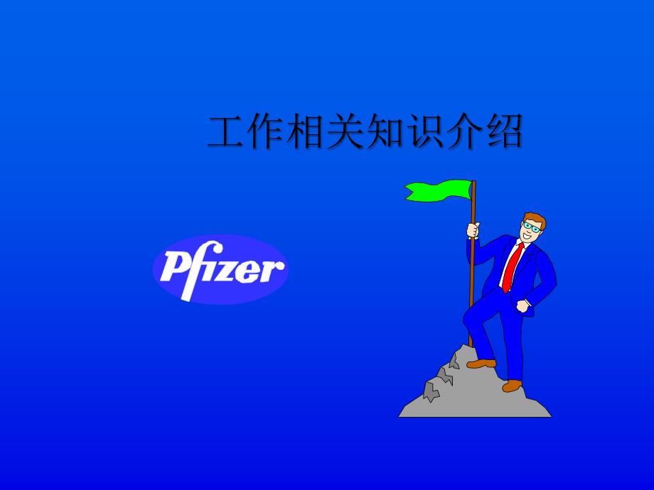 医药代表工作知识和日常任务-PPT_第1页