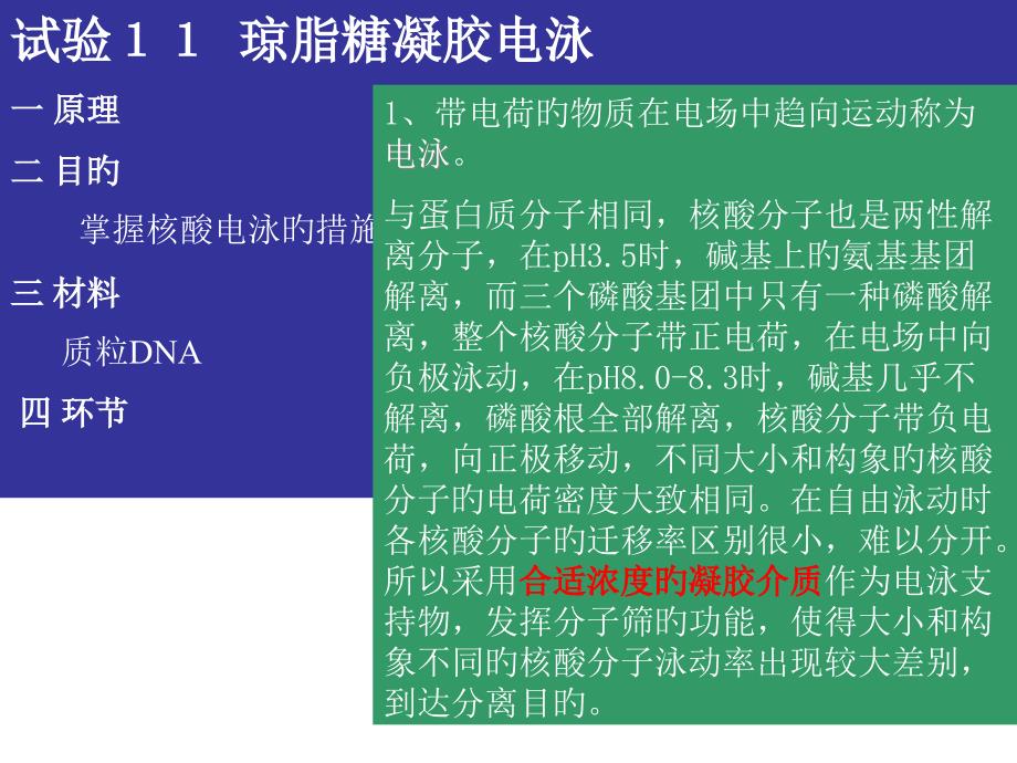 实验琼脂糖凝胶电泳一原理二目的掌握核酸电泳的方法专家讲座_第1页