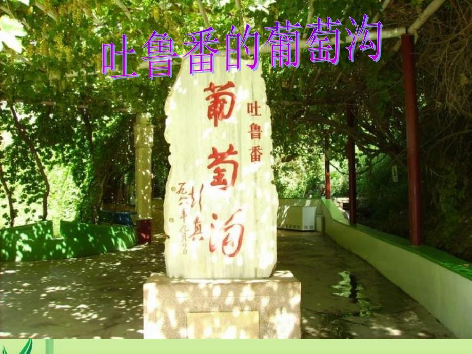 西师大版语文五下《吐鲁番的葡萄沟》课件_第1页