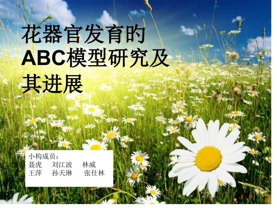 花器官的ABC模型_第1页