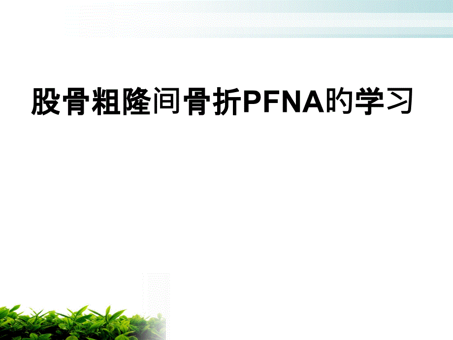 股骨粗隆间骨折PFNA_第1页