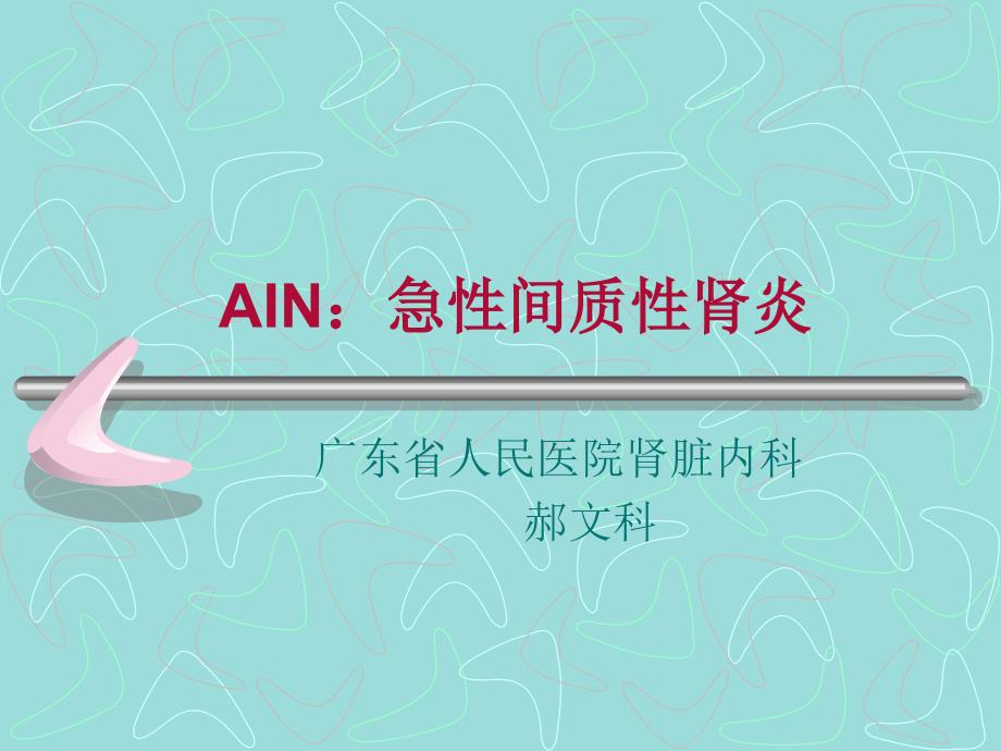 AIN：急性间质性肾炎_第1页