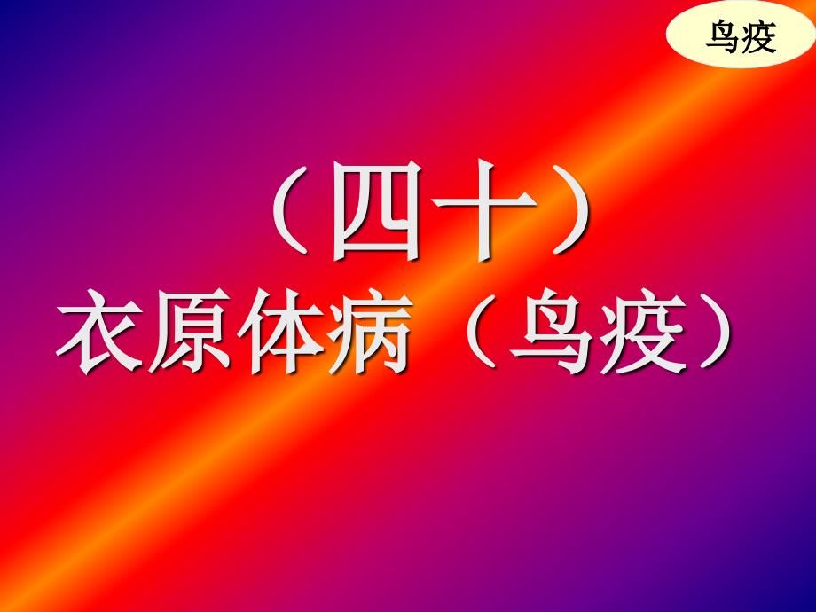 禽衣原體病鳥疫專家講座_第1頁(yè)