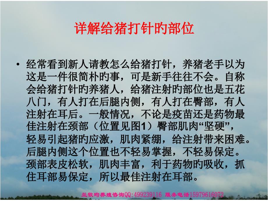 肌肉注射详解注意事项_第1页