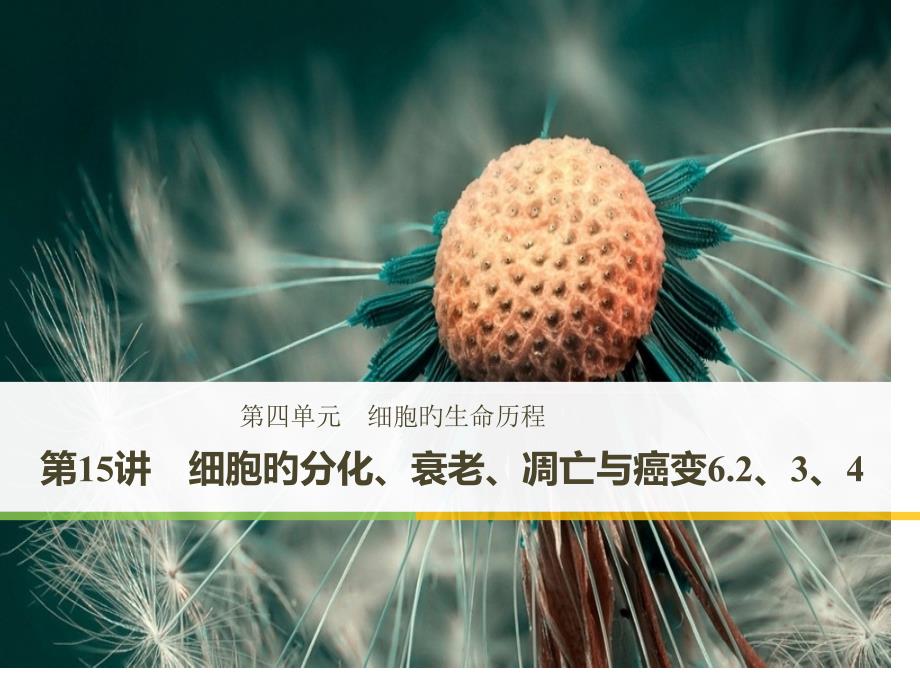 细胞的分化、衰老和癌变_第1页