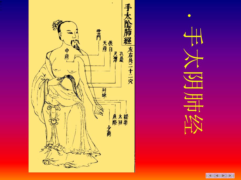 手太阴肺经带循行动图_第1页