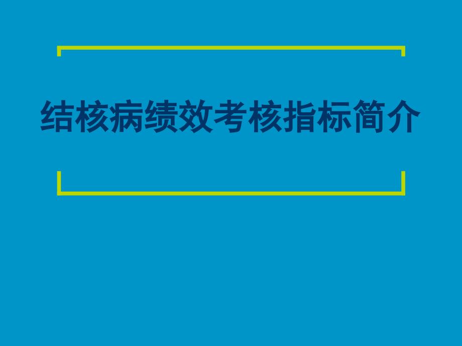 结核病绩效考核指标介绍_第1页