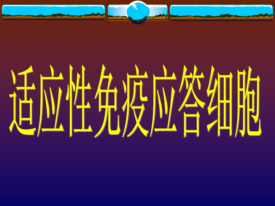 T细胞在胸腺中的发育二_第1页