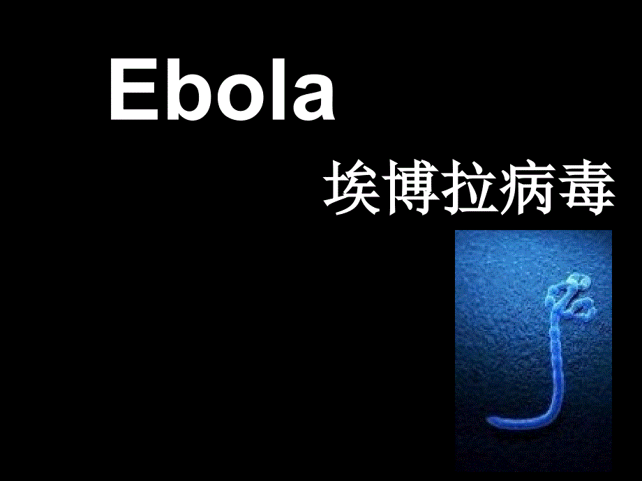 Ebola埃博拉病毒专题知识_第1页