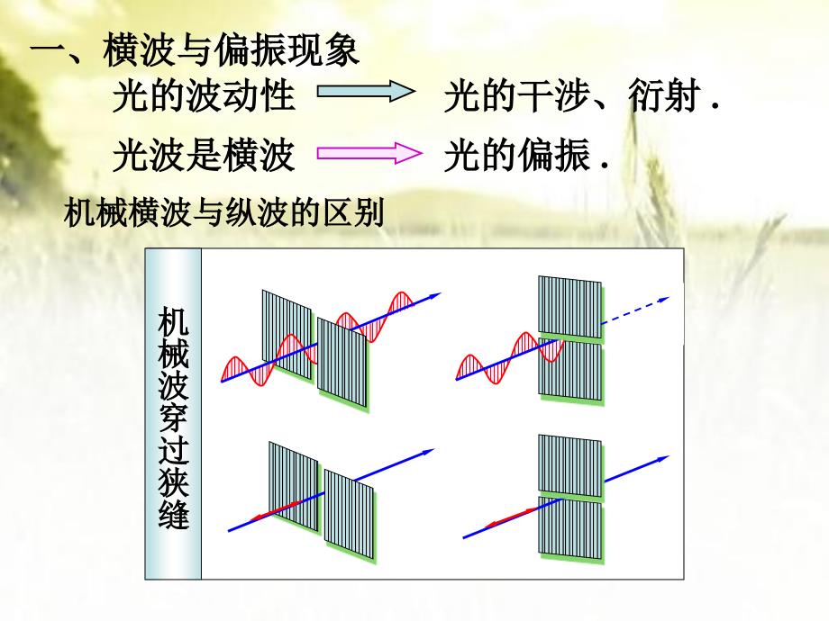 偏振原理及应用-PPT_第1页