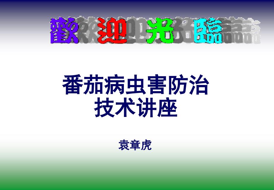 番茄病虫害防治方案_第1页