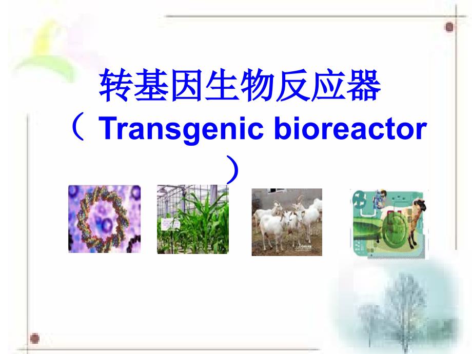 转基因生物反应器_第1页