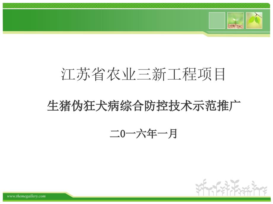 猪伪狂犬病综合防控农业科技项目完成情况汇报 PPT_第1页