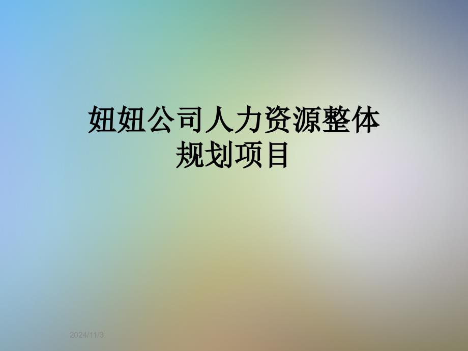 妞妞公司人力资源整体规划项目_第1页