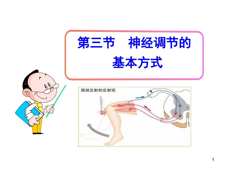 神经调节的基本方式_第1页