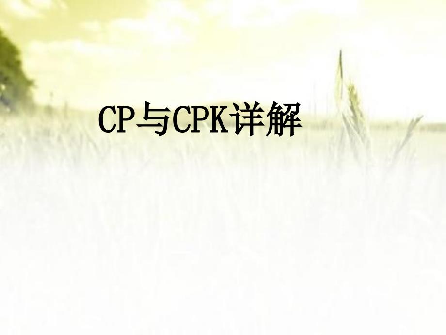 CPK与CP详细讲解资料ppt_第1页