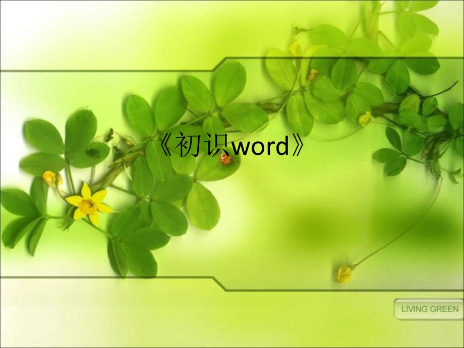 初级中学信息技术《初识word》PPT课件2_第1页