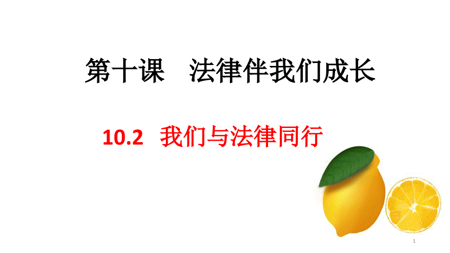 人教版道德与法治七年级下册我们与法律同行课件5_第1页