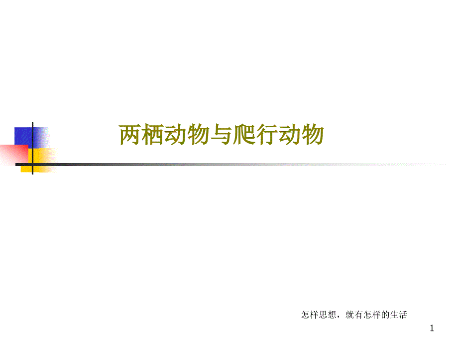 两栖动物与爬行动物教学课件_第1页