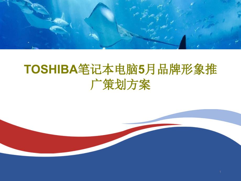 TOSHIBA笔记本电脑5月品牌形象推广策划方案教学课件_第1页