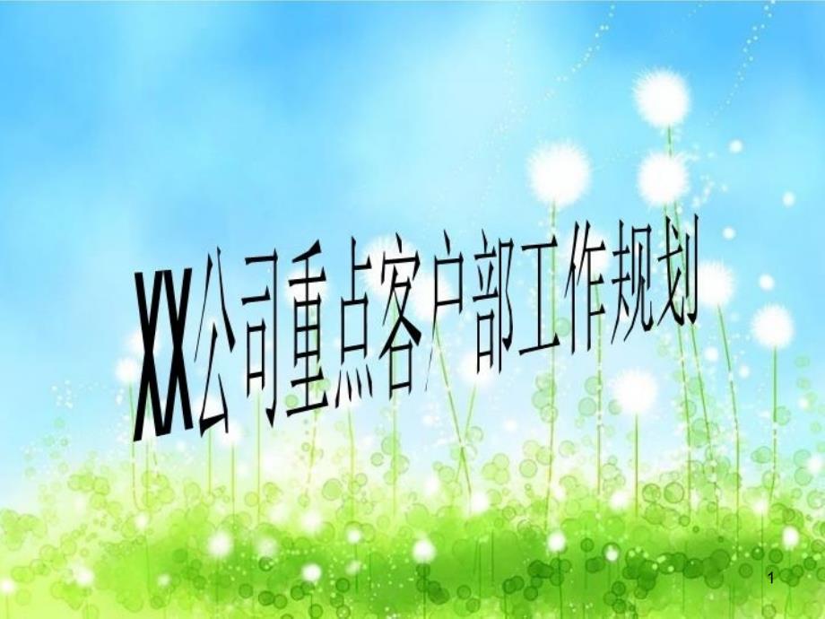 XX公司重点客户部工作规划教学课件_第1页