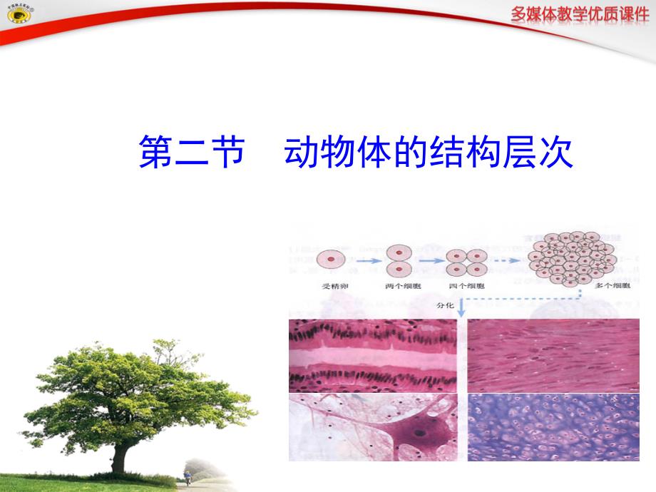 动物体的结构层次襄阳宜城骨干教师培训班龚互帮_第1页