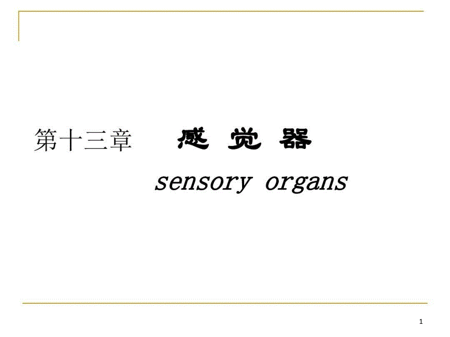 人体解剖学——感觉器官doc资料教学课件_第1页