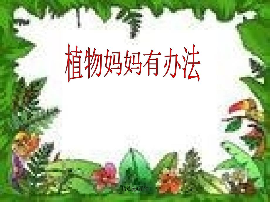 人教版二年级上册《植物妈妈有办法》课件_讲义_第1页