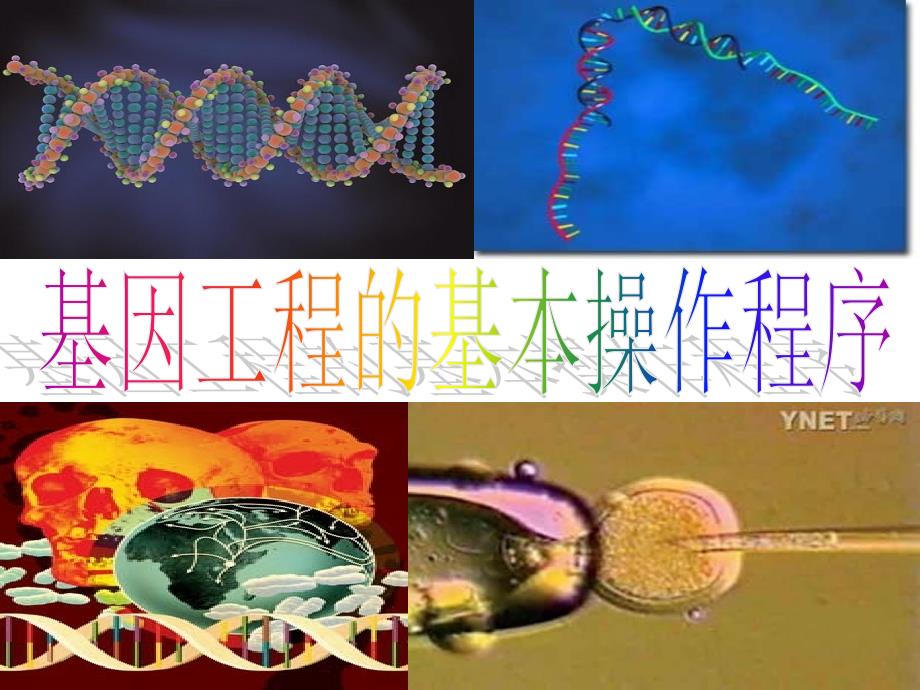 高三生物选修三专题一：基因工程第二课——生物《基因工程的基本操作程序》ppt(新人教版选修3)(共48)_第1页