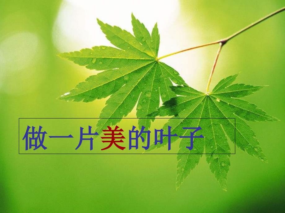 做一片美的叶子课件_第1页