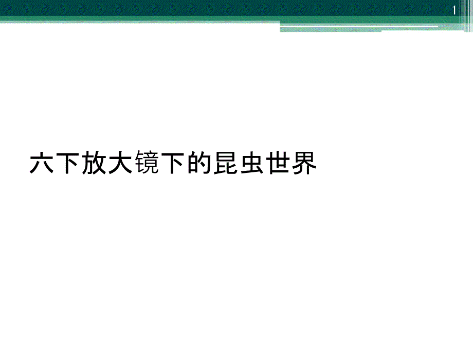 六下放大镜下的昆虫世界课件_第1页