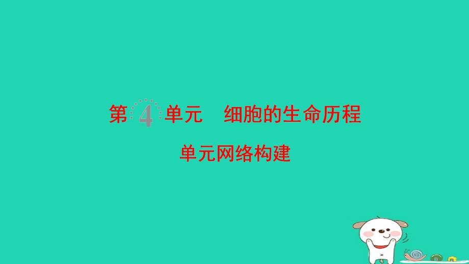 全国版高考生物一轮复习第4单元细胞的生命历程单元网络构建课件_第1页