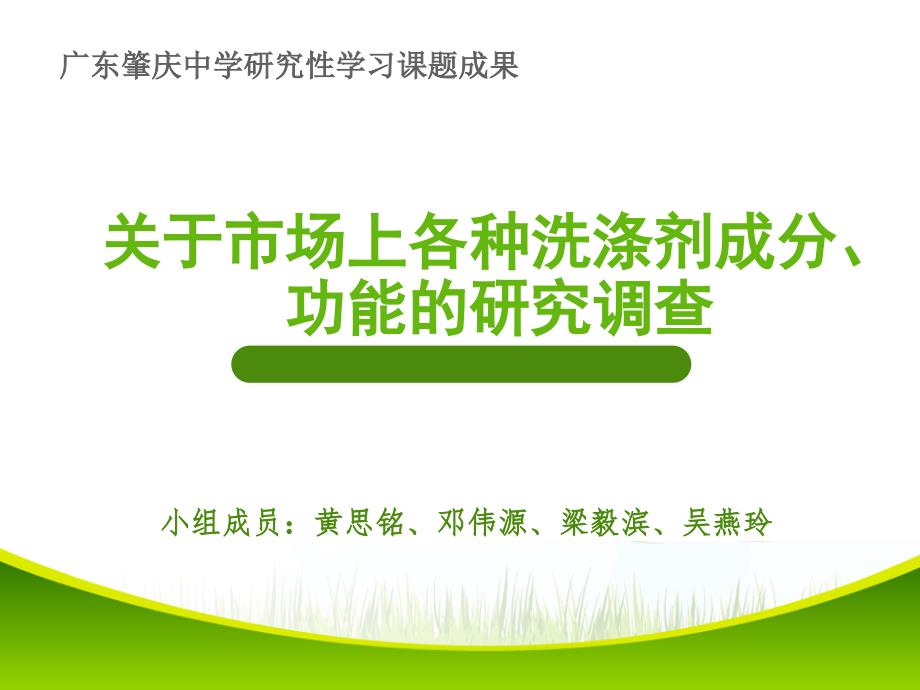 高中学生研究性学习成果展示(250)：关于市场上各种洗涤剂成分、功能的研究调查_第1页