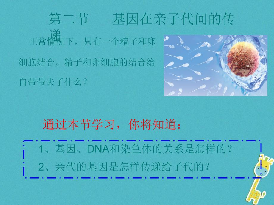 八年级生物下册722基因在亲子代间的传递课件1新版新人教版_第1页