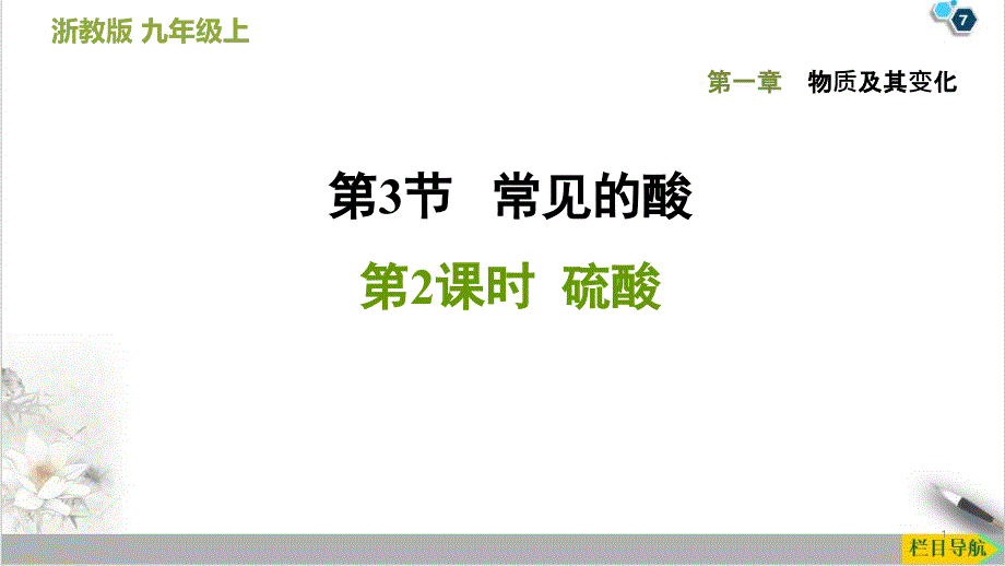 鹽酸硫酸—浙教版九級(jí)科學(xué)上冊(cè)課件1_第1頁